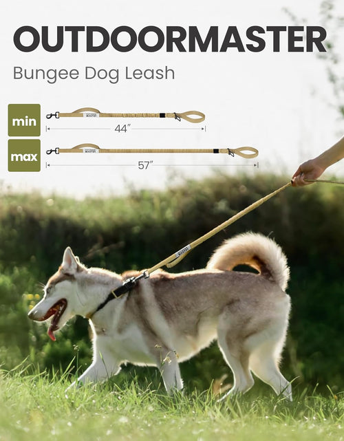 Load image into Gallery viewer, Bungee Dog Leash, Improved Dog Safety &amp; Comfort
